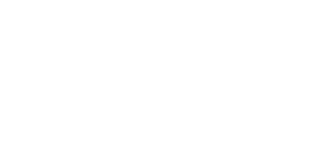 BGR Programa de Millas